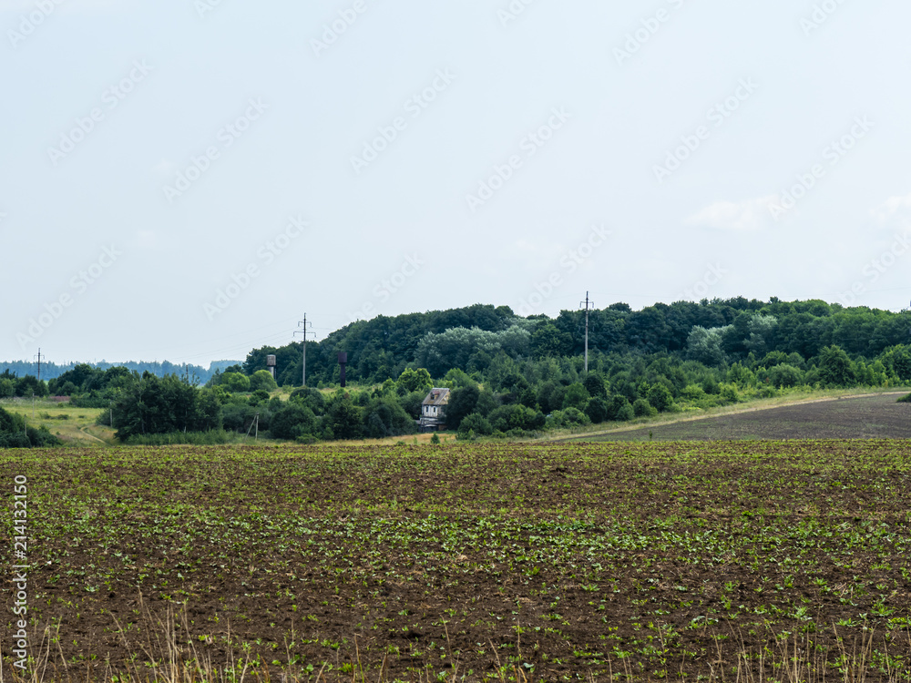 Ryazan region, Russia