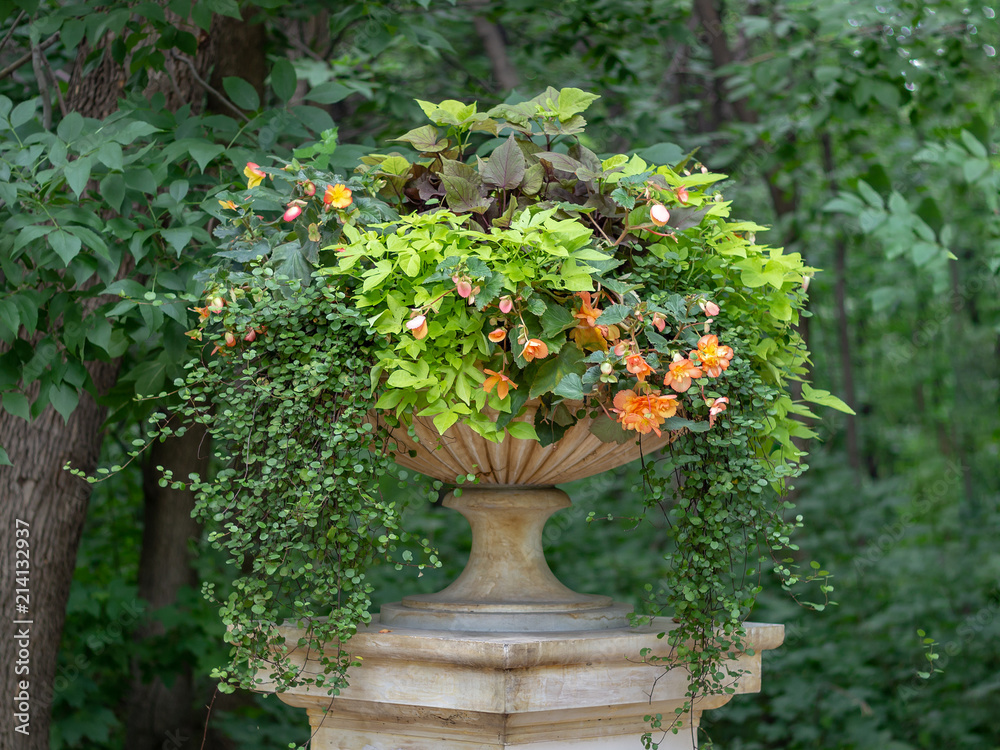 Large vase with flowers on a pedestal in the Park on a background of green foliage