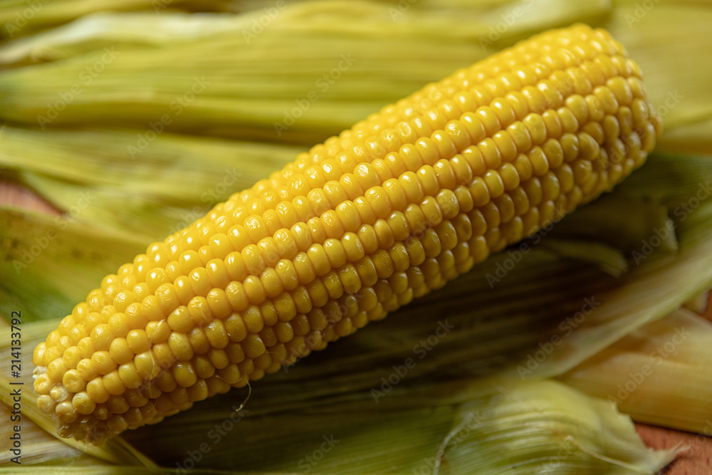 Boiled Corn on corn leaves, with shallow depth of field Boiled Corn on corn leaves, with shallow depth of field