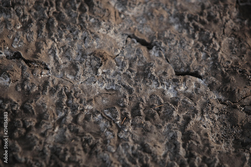 macro background earth detail - cracked brown dry soil with white salt crystals on top, outdoors in Africa during dry season