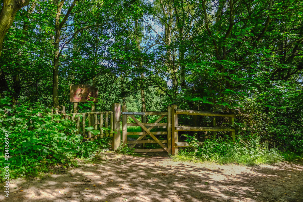Closed wooden gate on a forest path.