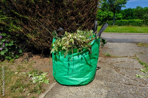 Green bag full of garden waste.