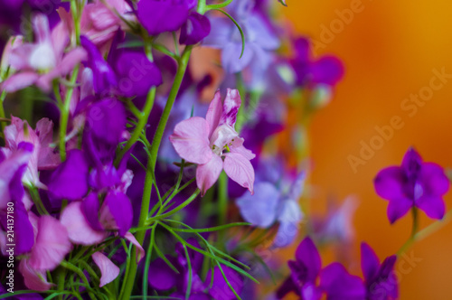 a bouquet of bright spring flowers of various types © Wingedbull