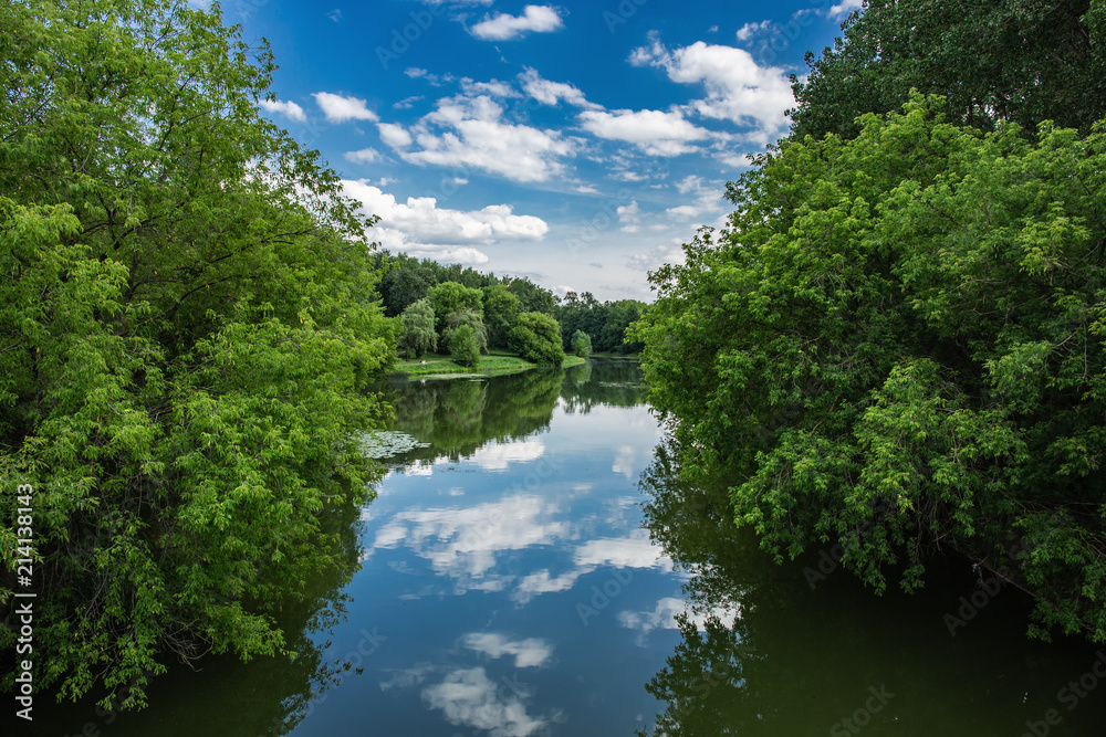 Scenic summer landscape with a lake in the park