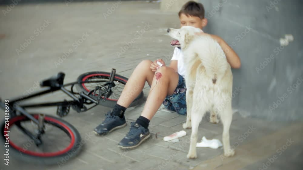 The boy sits in the park after falling off a bicycle, calms the pain in his knee, represents a dangerous bike riding near his dog The boy sits in the park after falling off a bicycle, calms the pain in his knee, represents a dangerous bike riding near his dog