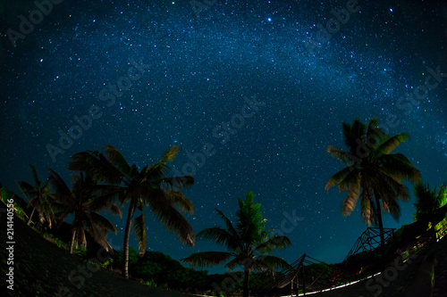 Night sky over coconut palm trees on a beach, rocks, sea or ocean. The night sky with stars, meteorites, milky way and clouds. Night star photography with long exposure. Illustration of privacy.