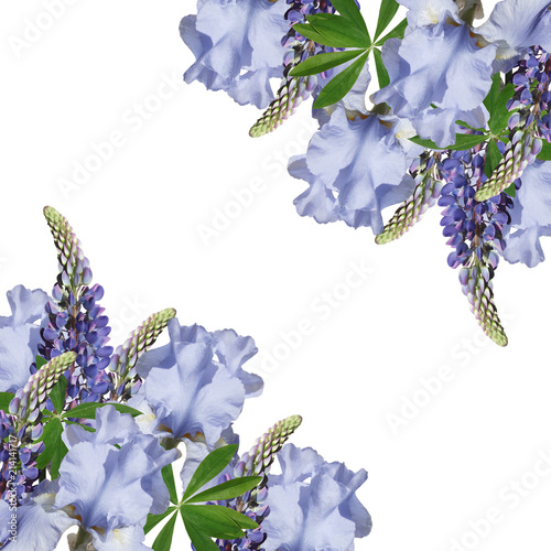 Fototapeta Naklejka Na Ścianę i Meble -  Beautiful floral background of lupins and irises 