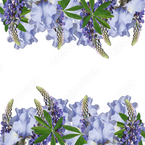 Fototapeta Naklejka Na Ścianę i Meble -  Beautiful floral background of lupins and irises 