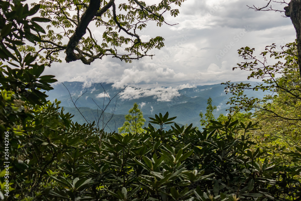 Scenic view of mountains seen from Cataloochee Divide Trail Scenic view of mountains seen from Cataloochee Divide Trail