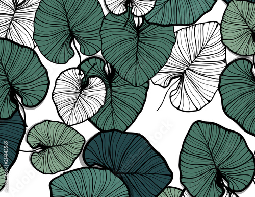 Jungle pattern, hand drawn outline black ink monstera leaves on white background.