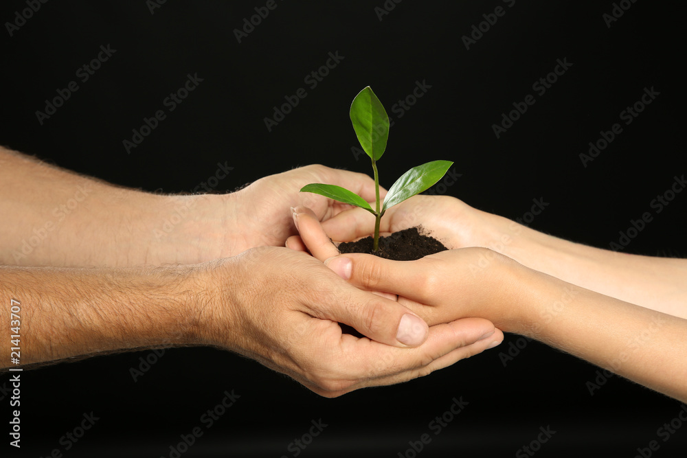 Woman and man holding soil with green plant in hands on black background. Family concept Woman and man holding soil with green plant in hands on black background. Family concept
