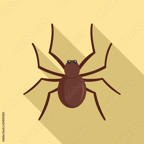 Grass spider icon. Flat illustration of grass spider vector icon for web design