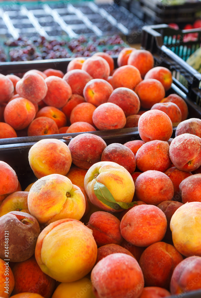 Fresh Yellow Peaches at a Local Market Fresh Yellow Peaches at a Local Market