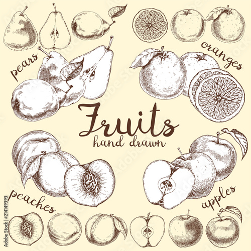 Vector hand drawn illustration. Apples, pears, peaches and oranges isolated on background. Vintage style.