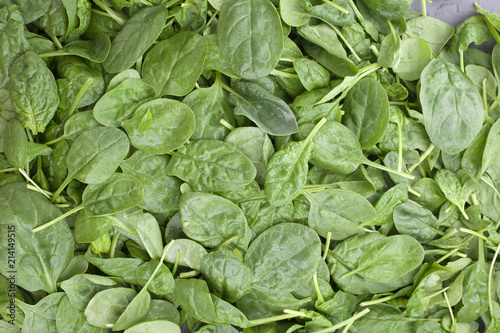 Background of green leaves of fresh spinach. Vitamins and health in food. Place for text. Copy space.