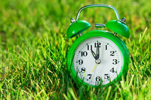 Alarm Clock in the Grass
