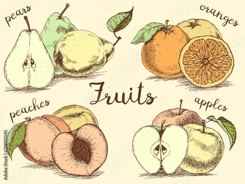 Hand drawn illustration. Apples, pears, peaches and oranges isolated on background. Vintage style.