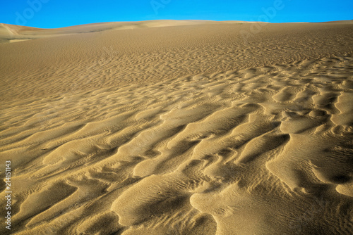 Fototapeta Naklejka Na Ścianę i Meble -  Great Sand Dunes National Park