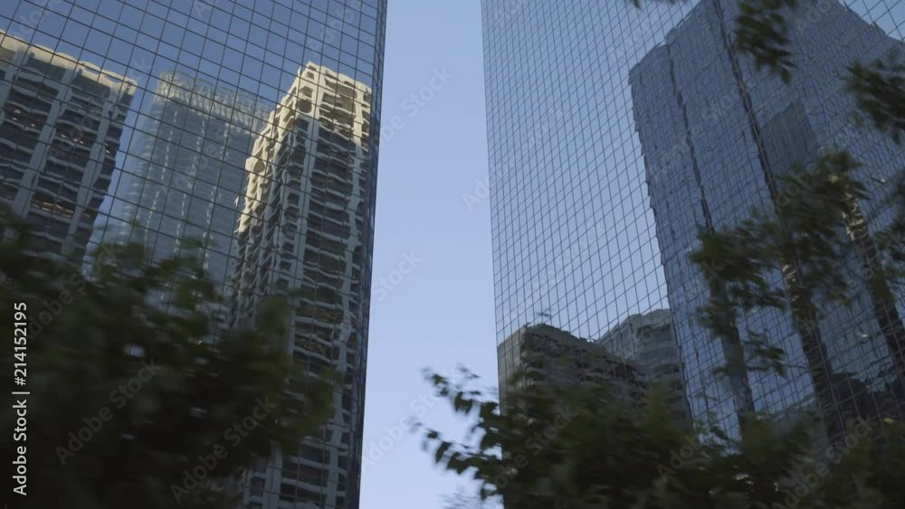 4K Reflections on buildings in Downtown Calgary, Alberta, Canada trees in foreground - dusk, moving shot 4K Reflections on buildings in Downtown Calgary, Alberta, Canada trees in foreground - dusk, moving shot
