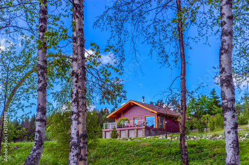 House in the forest. Cottag...