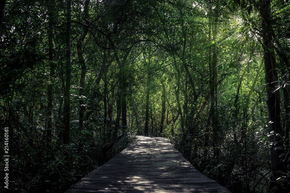 Fototapeta premium Tapom in Krabi Thailand