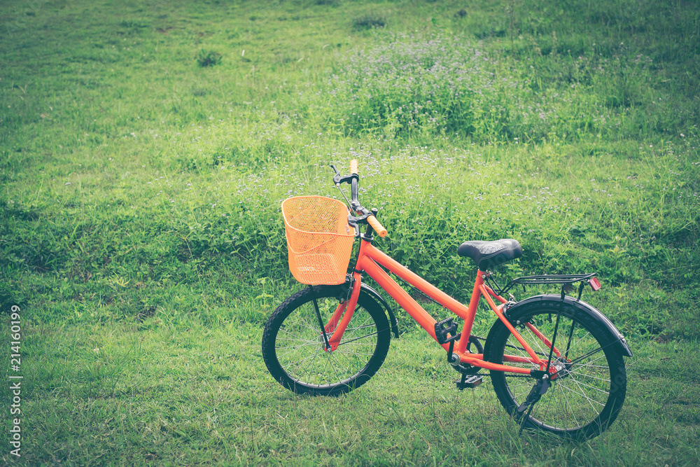 Orange bikes on flower purple grass field background.