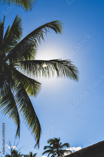 TROPICAL