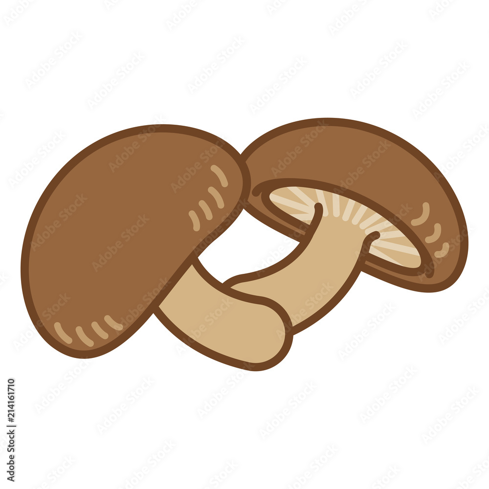 Fototapeta premium 椎茸