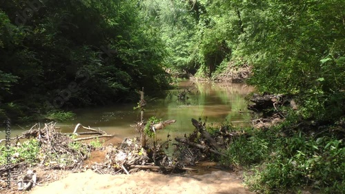 Georgia, Sewell Creek Summer, A zoom out from an upstream view of Sewell Creek photo