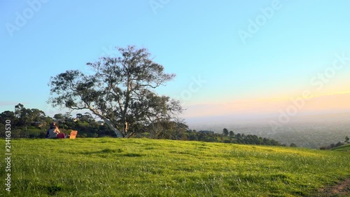 Tree on Mt Osmond Hill with blue sky and green grass