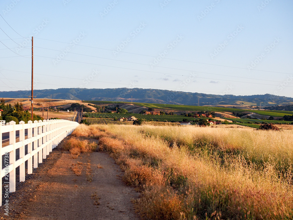 White picket fence and golden grass at sunset on Greenville Road at Tesla Road, Livermore Wine Country, California