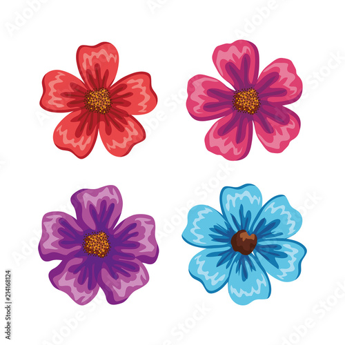 set beautiful flowers icons vector illustration design