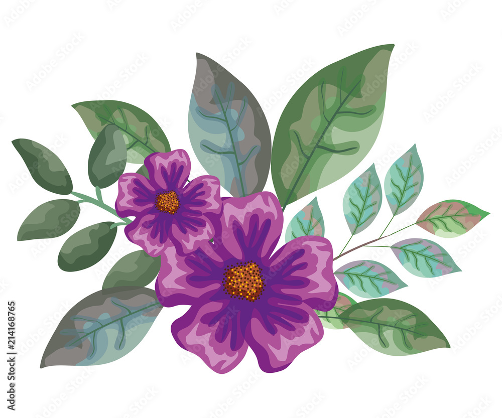 beautiful flowers and leafs decoration vector illustration design