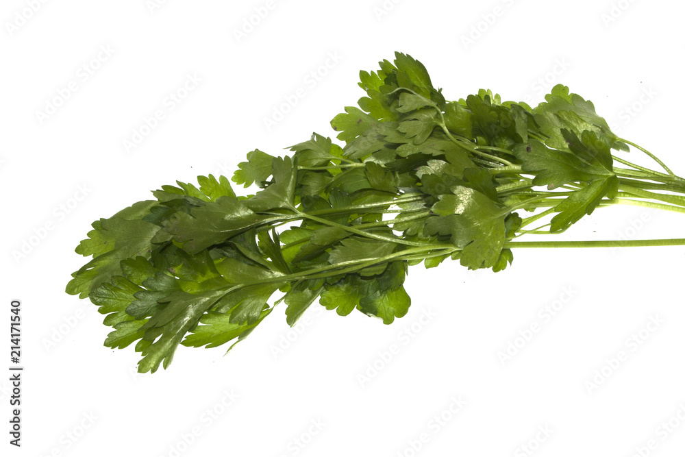 parsley isolated on white background parsley isolated on white background