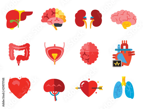 Anatomy Icon Set. Heart Brain Kidneys Liver Lungs Heart With Love Arrow Spleen Cerebrum Stomach Intestine Alzheimer Bladder Human Heart