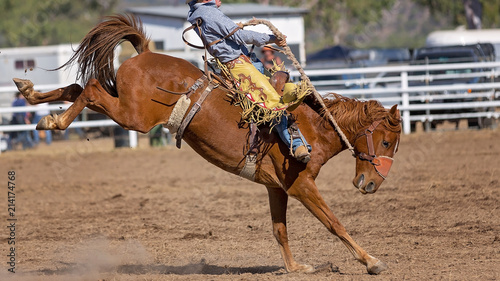 Bucking Bronco Horse At Country Rodeo photo