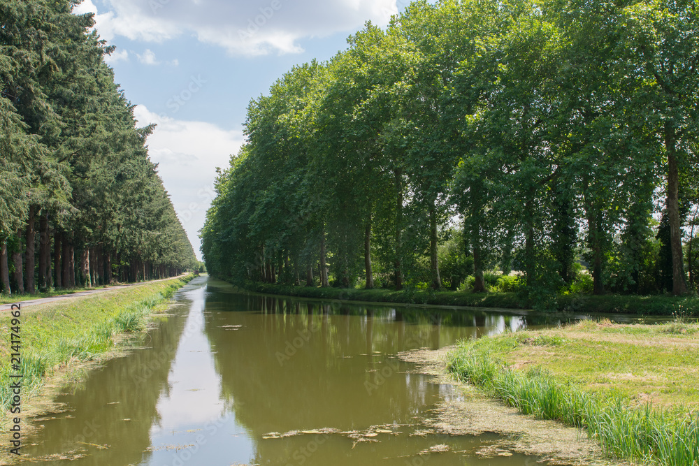étang du puits étang du puits