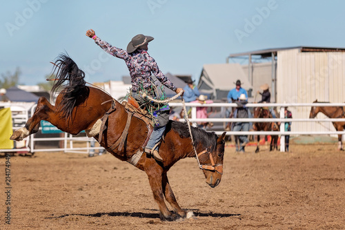 Bucking Bronco Horse At Country Rodeo photo