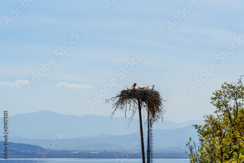 Nest of storks in Darreh Tafi village near Zarivar lake, Marivan, Iran photo