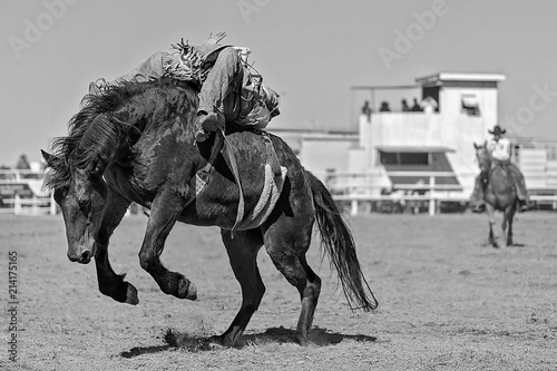 Bucking Bronco Horse At Country Rodeo