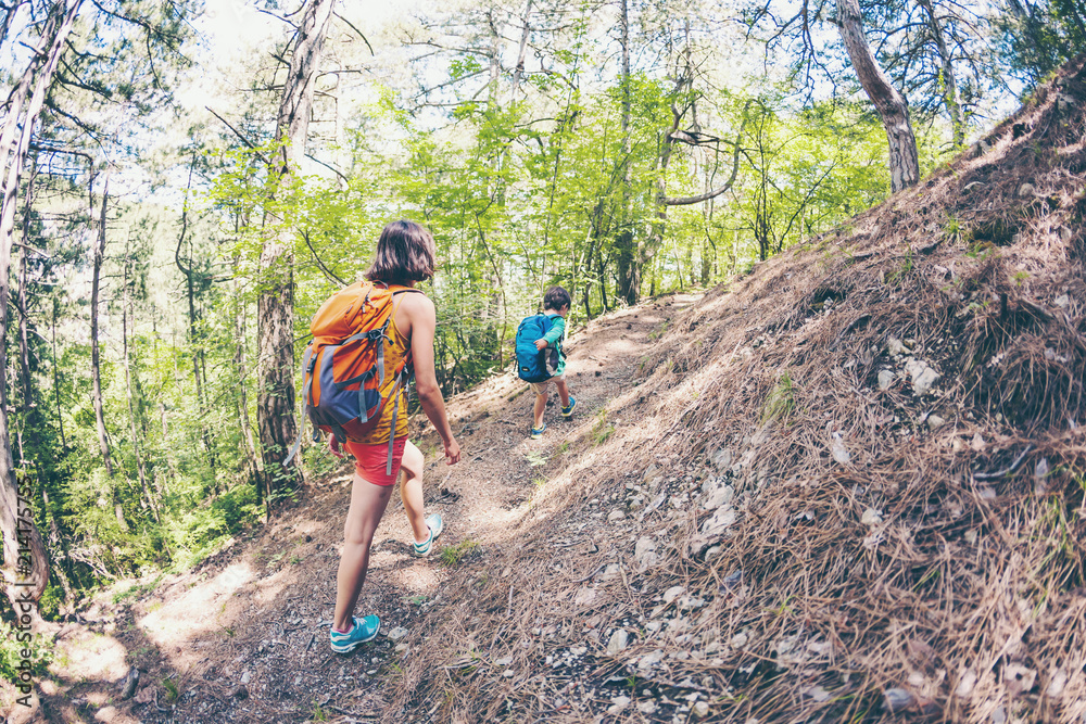 Obraz premium A woman and her child walk along a forest trail.