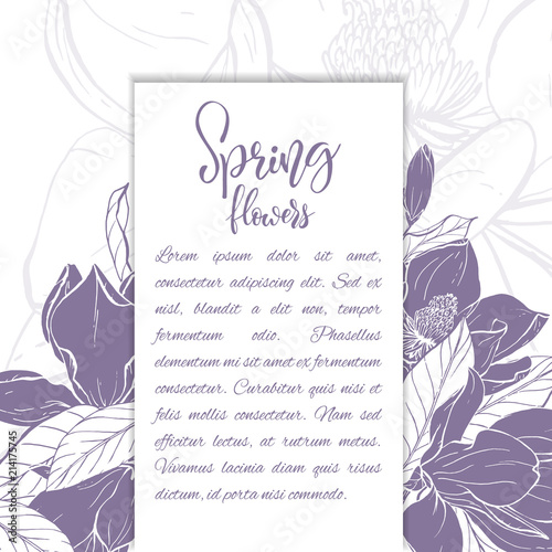 Sketch linear magnolia blossom.