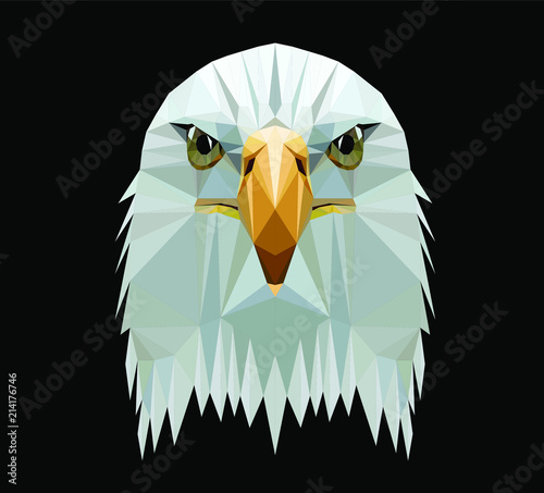 Low poly triangular  bald eagle head on dark background, vector illustration EPS 10 isolated.  Polygonal style trendy modern logo design. Suitable for printing on a t-shirt.