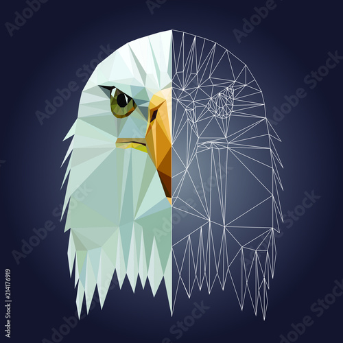 Low poly triangular  bald eagle head on dark background, vector illustration EPS 10 isolated.  Polygonal style trendy modern logo design. Suitable for printing on a t-shirt.