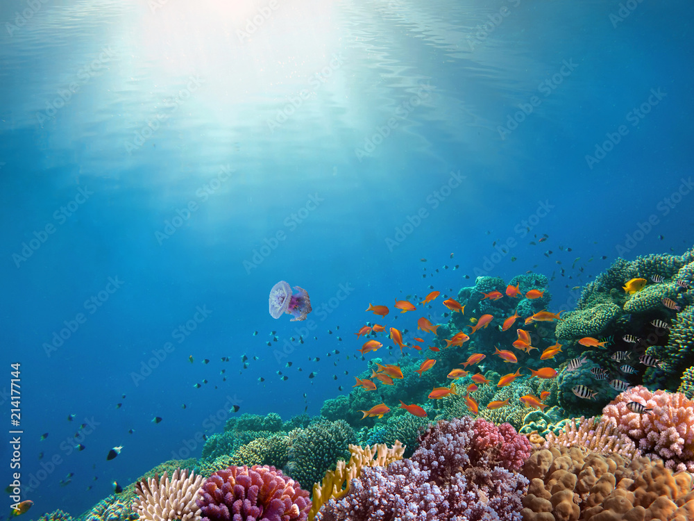 Fototapeta premium Rays of sunlight shining into sea, underwater view