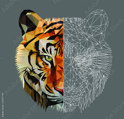 Low poly triangular tiger head on dark background, vector illustration EPS 10 isolated.  Polygonal style trendy modern logo design. Suitable for printing on a t-shirt.