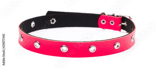 red leather dog collar isolated on white background