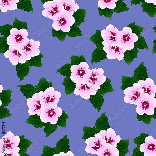 Fototapeta Naklejka Na Ścianę i Meble -  Hibiscus syriacus - Rose of Sharon on Purple Background.
