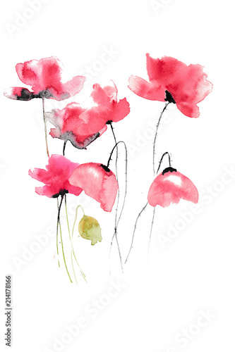 Red poppies on white background  watercolor hand painted  floral art