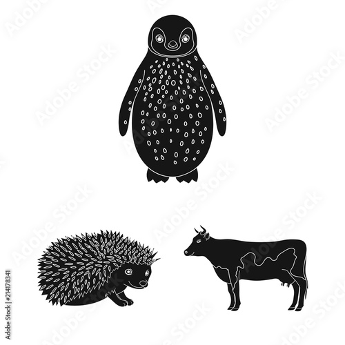 Realistic animals black icons in set collection for design. Wild and domestic animals vector symbol stock web illustration.